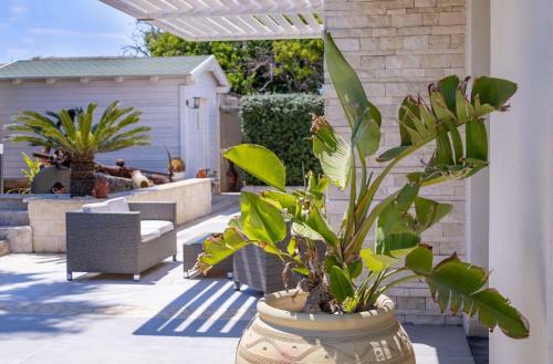 Wonderful Emerald And Gold Apartments With Parking
