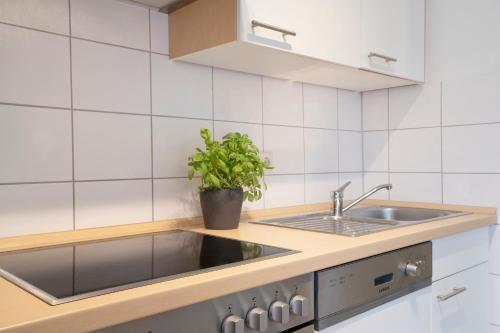 Apartamento Seepark S�ssau Ferienhaus Seeigel 40