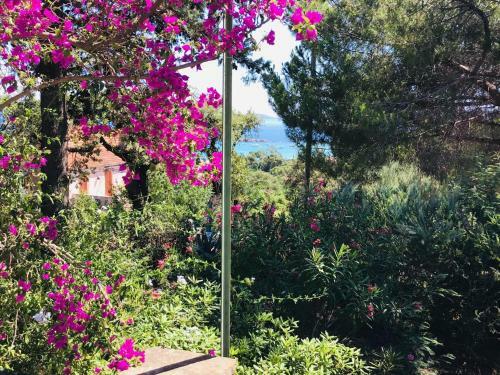 Cozy Gite With Sea View, In Le Lavandou