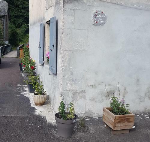 Apartamento La Maison Des Fleurs Studio
