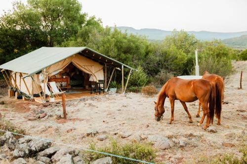 �qui-lodge Avec Spa Au Lac Du Salagou