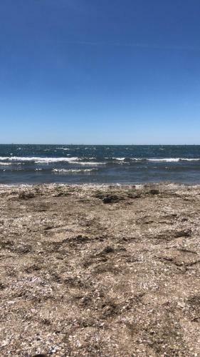 Apartamento Grand Studio Pour 5 Personnes Bord de Plage