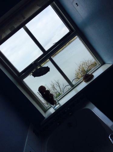 The Waterside B&B