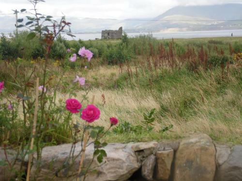 Seaside B&B