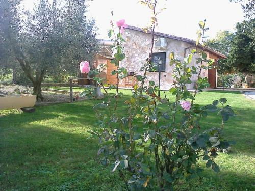 Casale Dinelli