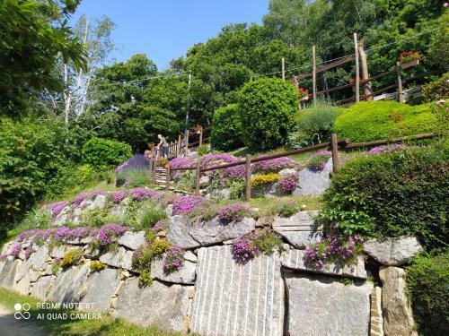 Baita Sambuco - Il Castagno Apartment For Rent For Short Periods