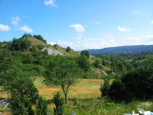 Appartamento La Volpe E La Luna