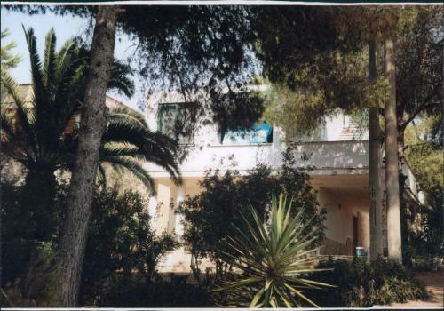 Apartamento Le Macchie Di Nonno Emilio