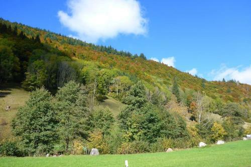 Apartamento Ferienwohnung Schog