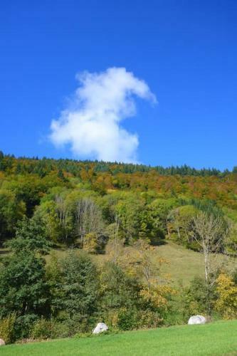 Apartamento Ferienwohnung Schog