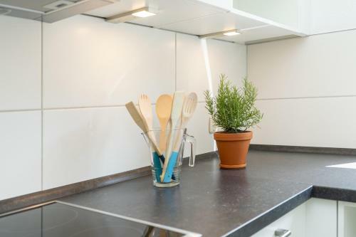 Apartamento Ferienwohnung Die 2b