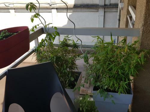 Apartamento Compostela