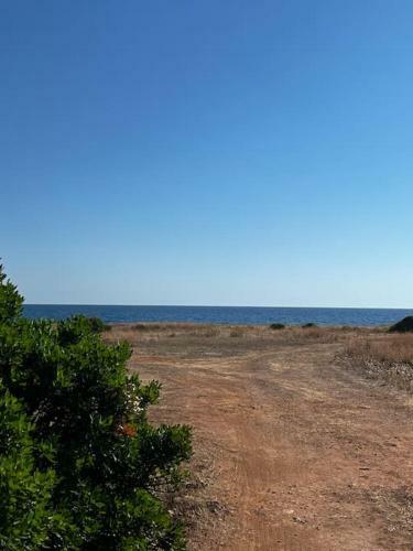 Villa Casa Matilde A 100 M Dal Mare