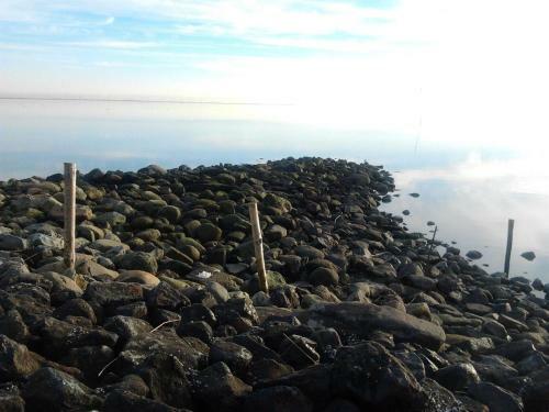 Nordsee-1