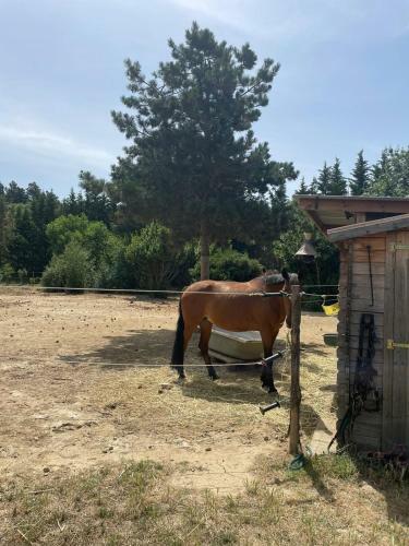 Roulotte En Bois Sud France