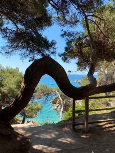 Roulotte En Bois Sud France