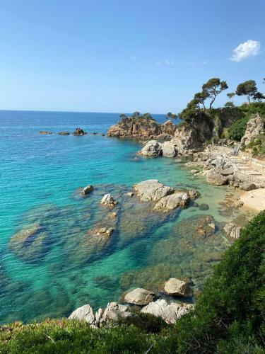 Roulotte En Bois Sud France