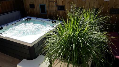 Chambre D'h�tes Rdc Spa Et Petit-d�jeuner En Lisi�re de For�t