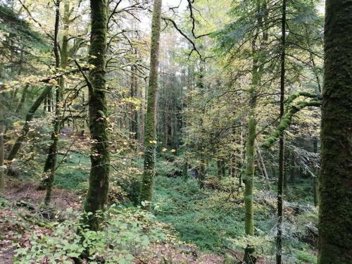 Maison En Pleine Nature