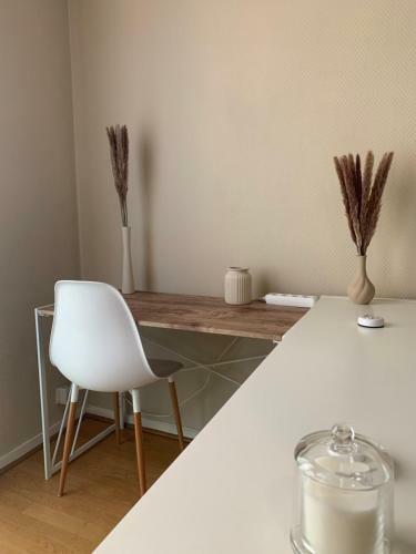 Apartamento Joli Appartement En Plein Centre