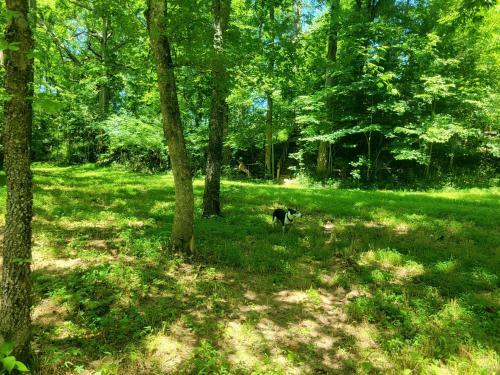 Agroturismo Echo Valley Outdoor Oasis Campsites