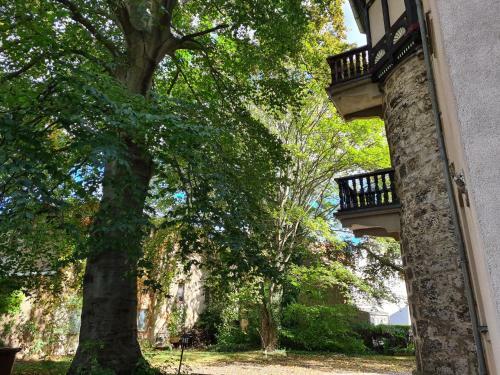 Ferienwohnung Fallersleben Weimar Apartment Zentral Ruhig