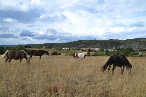 Agroturismo Le G�te Fleuri