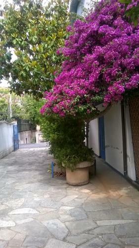Sanbart Apartment