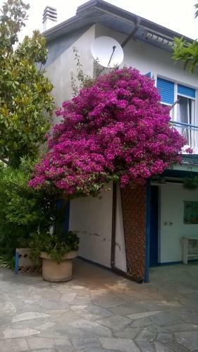 Sanbart Apartment