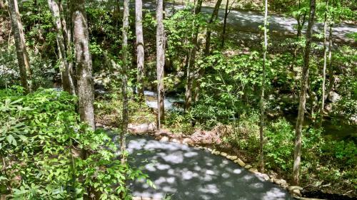 The Maple In Treehouse Grove At Norton Creek