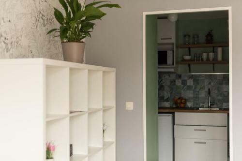 Apartamento Appartement Botanique Proche Lille