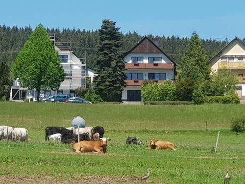 Apartamento Vakantieappartement Achat Duitsland