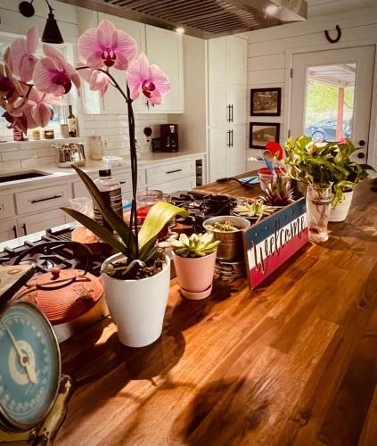 Bed & Breakfast The Virginia May