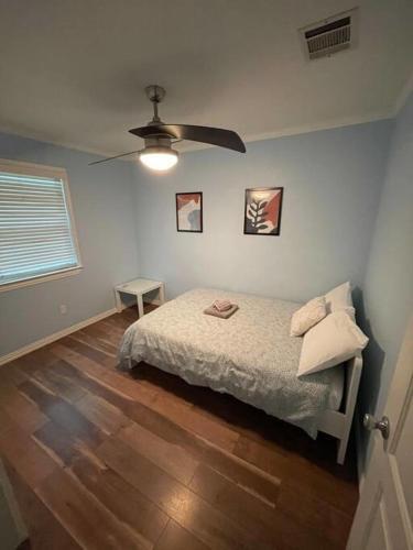 South Austin Oasis Dogs And Long Term Stays Welcome