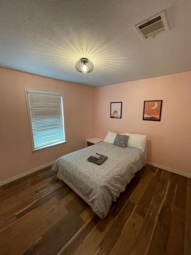 South Austin Oasis Dogs And Long Term Stays Welcome