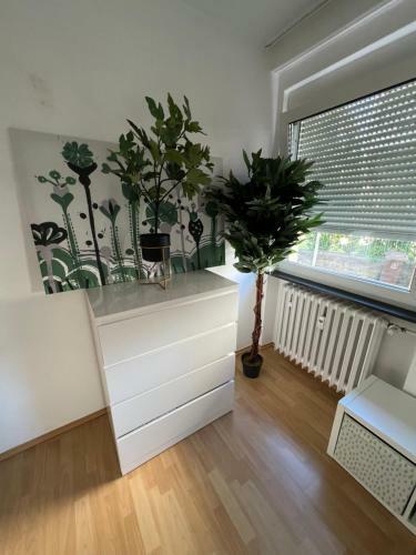Privatzimmer N�he Residenz Und Innenstadt