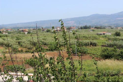 B&B La Vigna