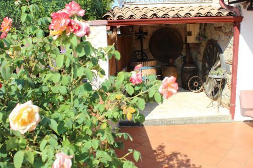 B&B La Vigna