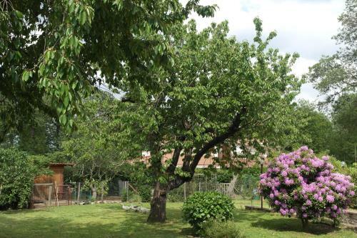 B&B Viale Dei Pini