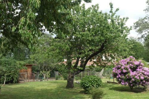 B&B Viale Dei Pini