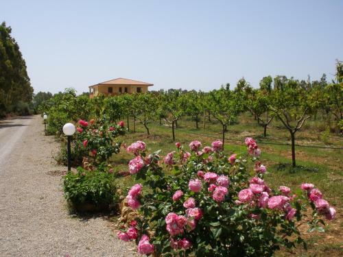 Bed And Breakfast Le Camelie