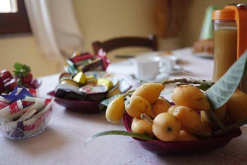 Bed And Breakfast Le Camelie