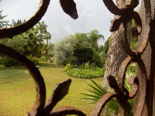 B&B Asparano