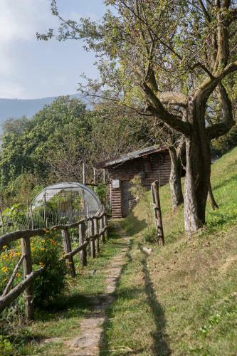 Agroturismo Agriturismo Da Attilio