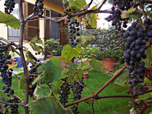 Bed & Breakfast Casacandi