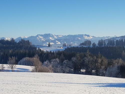 Apartamento Ferienwohnung Im Kuhlen Allg�u
