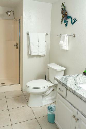Saida Towers 3-903