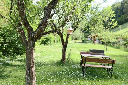 Apartamento Belchenblick 2