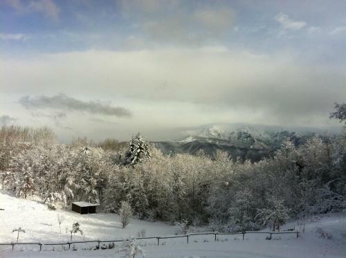 Bed & Breakfast Il Giardino Di Rosmarino