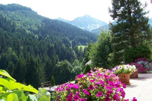 Posada H�tel De Torgon